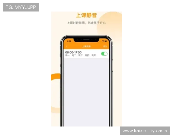 亚盈体育官网入口:如何通过官方入口安全登录,避免钓鱼网站风险